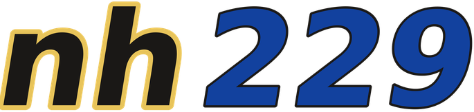 nh229 logo
